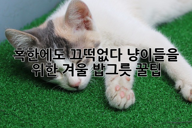 b69bef6036a8d2ce8396dcb556170787.jpg