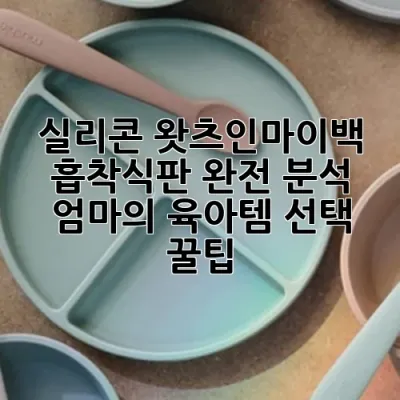 실리콘 왓츠인마이백 흡착식판 완전 분석: 엄마의 육아템 선택 꿀팁 🍯