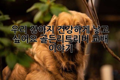 우리 강아지, 건강하게 낳고 싶어요: 골든리트리버 교배 이야기