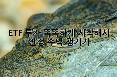 ETF 투자, 똑똑하게 시작해서 안정 수익 챙기기 💰