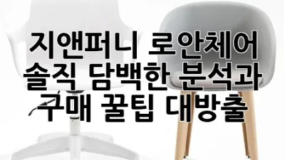 지앤퍼니 로안체어: 솔직 담백한 분석과 구매 꿀팁 대방출!
