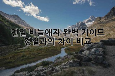 연질 바늘애자 완벽 가이드: 경질과의 차이 비교