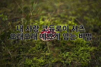 내 사랑 코듀로이 셔츠, 오래오래 예쁘게 입는 비법! 🥰