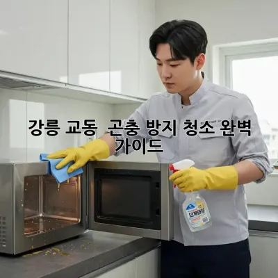 강릉 교동 🏡 곤충 방지 청소, 완벽 가이드! 🪳🚫