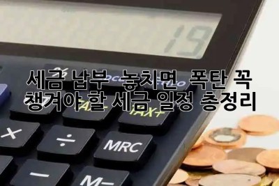 세금 납부 📅 놓치면 💸 폭탄! 꼭 챙겨야 할 세금 일정 총정리 📌