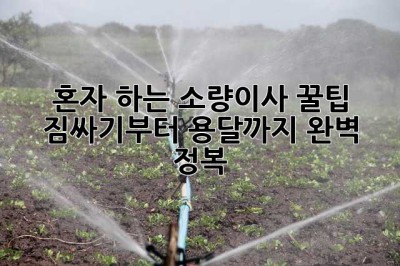 혼자 하는 소량이사 꿀팁🍯 짐싸기부터 용달까지 완벽 정복!