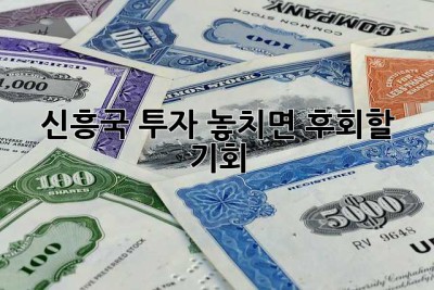 신흥국 투자, 놓치면 후회할 기회? 🤔