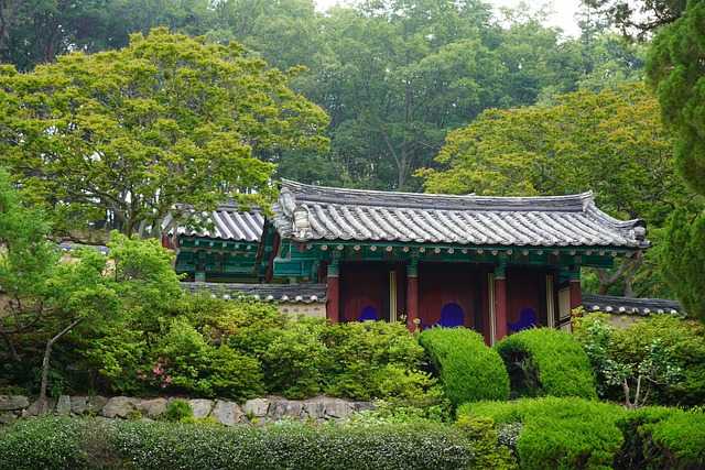 최태성한국사수업008.jpg