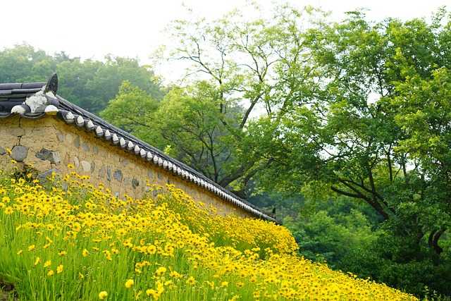 최태성한국사수업010.jpg